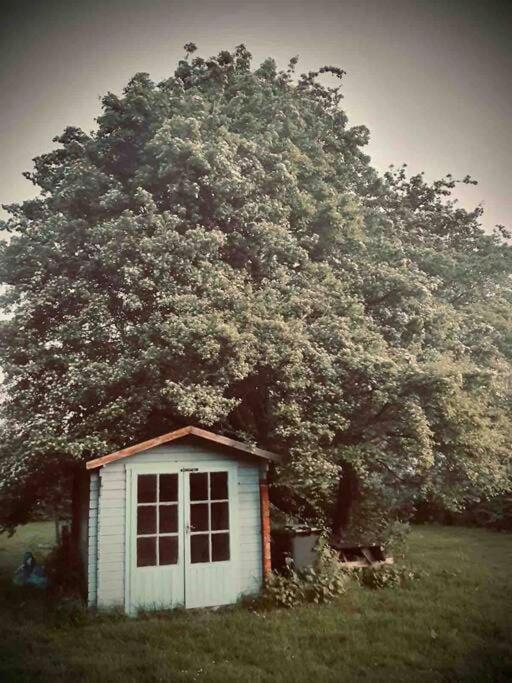 Nature Charm & Fruit Delights, Multi-Generation Celebratory Home -Try, Relax, Repeat - Sellindge 애슈퍼드 외부 사진